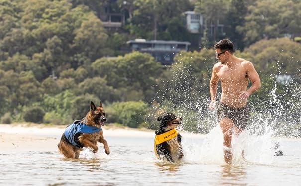 Built for Every Canine Adventure
